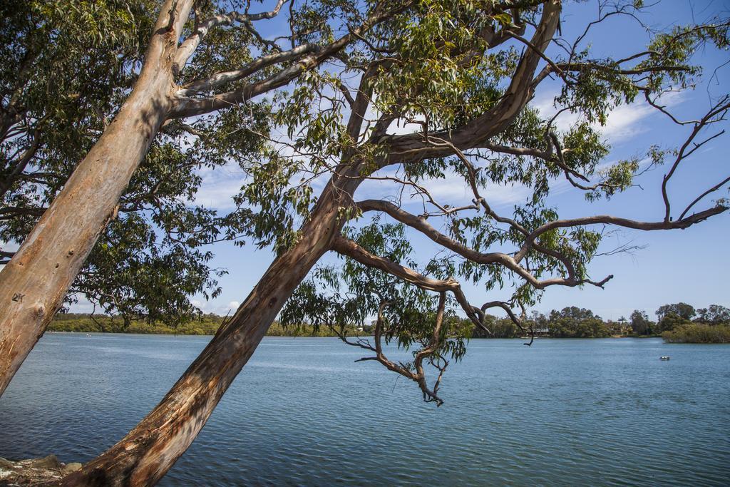 Colonial Tweed Holiday & Home Park Tweed Heads Bagian luar foto
